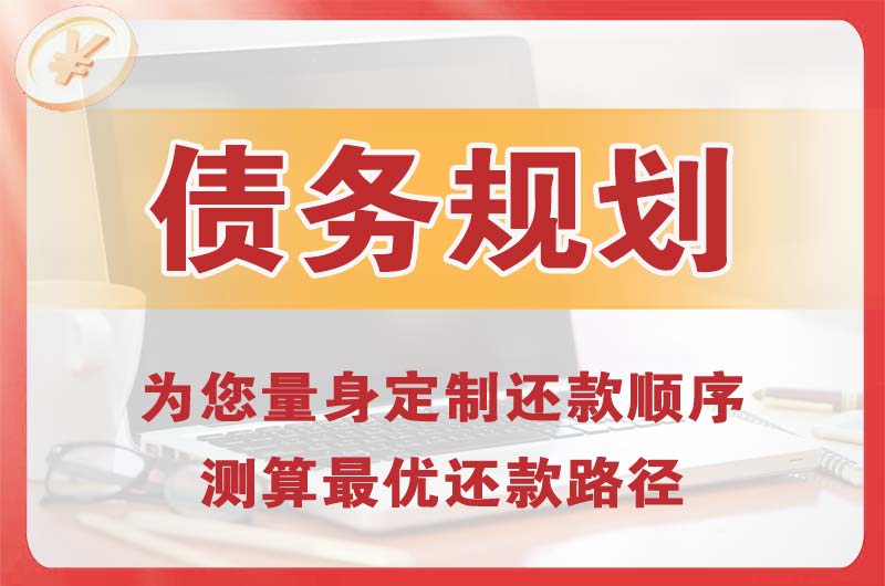 崇左债务规划